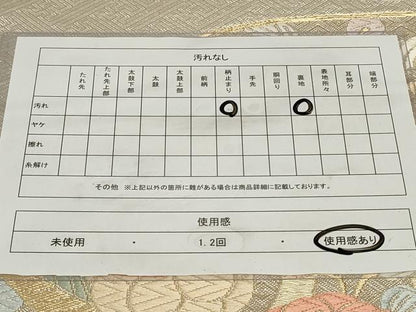 平和屋着物◎六通柄袋帯　唐織　立涌草花文　金銀糸　正絹　逸品　CAAY8970in