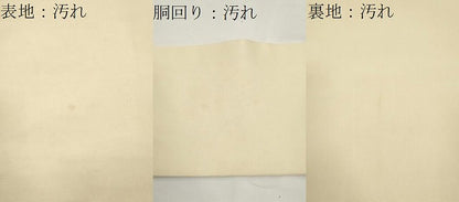 平和屋着物●塩瀬　九寸名古屋帯　手描き　枝花文　金彩　正絹　逸品　CAAY9219yk