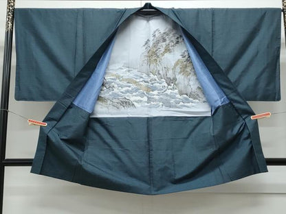 平和屋着物●男性　本場大島紬　アンサンブル　100亀甲　総詰め　正絹　逸品　CAAY9503th