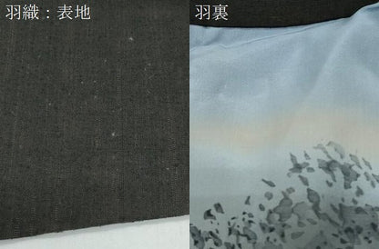 平和屋着物●男性　紬　アンサンブル　色無地　暗黒色　正絹　逸品　CAAY9566th