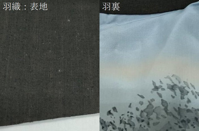 平和屋着物●男性　紬　アンサンブル　色無地　暗黒色　正絹　逸品　CAAY9566th
