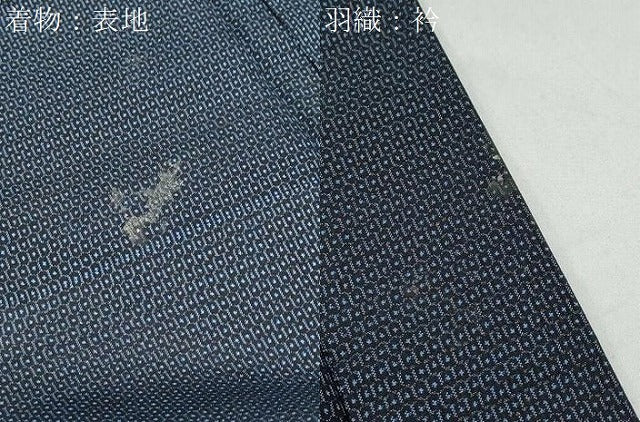 平和屋着物●男性　本場大島紬　アンサンブル　100亀甲　総詰め　正絹　逸品　CAAY9596th