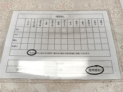 平和屋着物◎六通柄袋帯　唐織　天井宝相華　銀糸　正絹　逸品　CAAZ0414xi