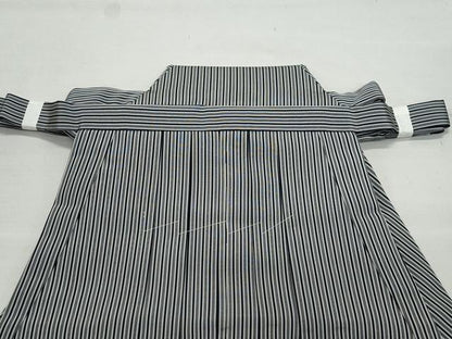 平和屋着物●男性　馬乗り袴　間道　正絹　逸品　CAAZ0863vf