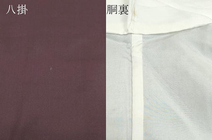 平和屋着物●上質な紬　100亀甲　間道　正絹　逸品　CAAZ1021vf