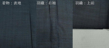平和屋着物●男性　本場大島紬　アンサンブル　120亀甲　総詰め　正絹　逸品　CAAZ1152vf