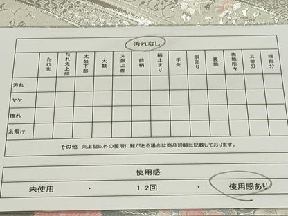 平和屋着物◎六通柄袋帯　唐織　菱花文　錦織プラチナ箔　正絹　逸品　CAAZ1207ou