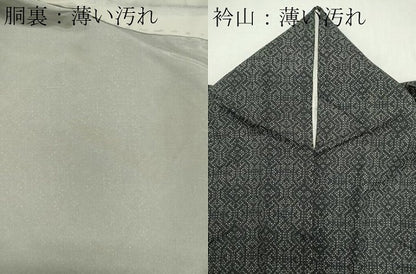 平和屋着物■上質な紬　吉祥文　正絹　逸品　CAAZ1318ou