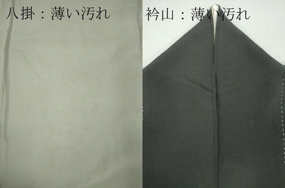平和屋着物■豪華黒留袖 駒刺繍 流水飛鶴文 金彩 正絹 逸品 CAAZ1419ou