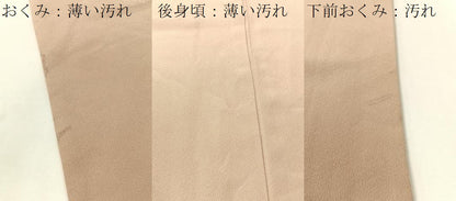 平和屋着物■豪華色留袖　友禅　霞枝松文　正絹　逸品　CAAZ2237vp