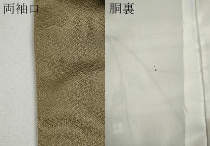 平和屋着物●訪問着　作家物　花鳥文　金彩　正絹　逸品　CAAZ2406ut