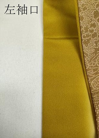平和屋着物●江戸小紋　百柄　正絹　逸品　CAAZ2454ut