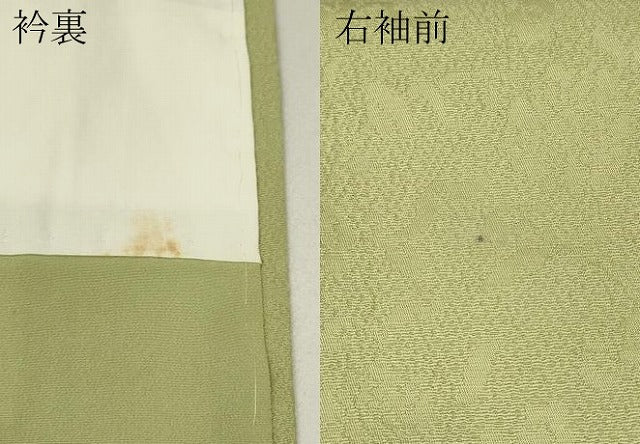 平和屋着物●上質な色無地 花唐草地紋 女郎花色 正絹 逸品 CAAZ2496ut
