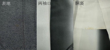 平和屋着物●訪問着　江戸小紋　横段吉祥草花文　黒地　正絹　逸品　CAAZ2500ut