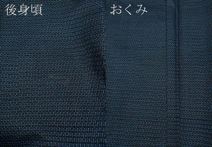 平和屋着物●男性　本場大島紬　アンサンブル　100亀甲　総詰め　正絹　逸品　未使用　CAAZ2732ut