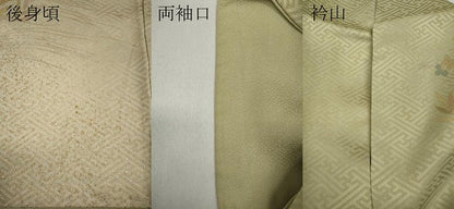 平和屋着物●訪問着 駒刺繍 流水鴛鴦花文 暈し染め 金銀彩 正絹 逸品 CAAZ2796ut