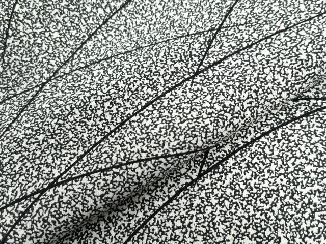 平和屋着物○上質な小紋 作家物 芝草文 たたき染め 黒地 ロング丈