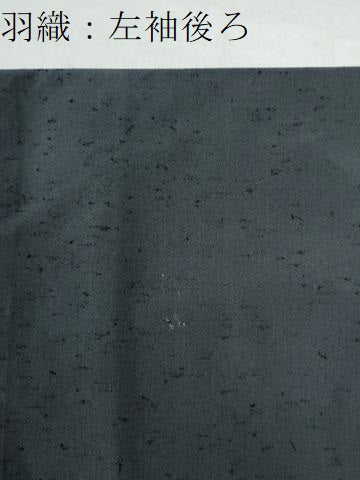 平和屋着物●男性 髭紬 アンサンブル 色無地 羊羹色 正絹 逸品 CAAZ3286yc