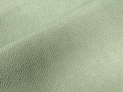 平和屋着物●上質な色無地　裏葉柳色　鬼しぼ縮緬　ますいわ屋扱い　正絹　逸品　CAAZ3769yc
