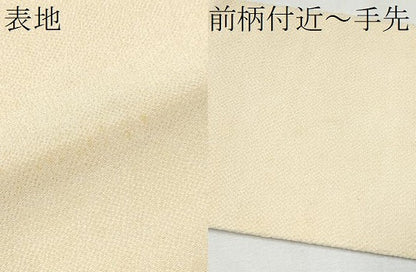 平和屋着物●九寸名古屋帯　型染め　枝花文　鬼しぼ縮緬　正絹　逸品　CAAZ4146hy