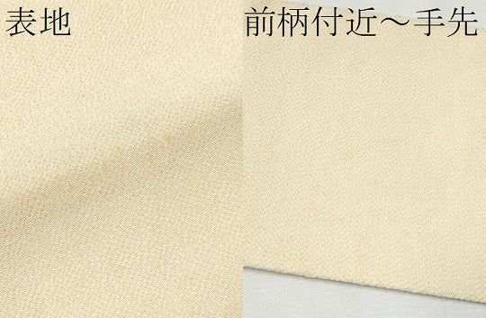 平和屋着物●九寸名古屋帯　型染め　枝花文　鬼しぼ縮緬　正絹　逸品　CAAZ4146hy