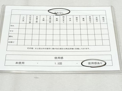 平和屋着物◎六通柄袋帯　十二単　銀糸　正絹　逸品　CAAZ4704fb
