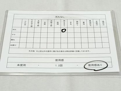 平和屋着物◎六通柄袋帯　風景文　金銀糸　正絹　逸品　CAAZ4913fb