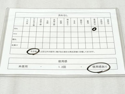 平和屋着物◎六通柄袋帯　唐織　熨斗重ね　金糸　正絹　逸品　CAAZ4968fb