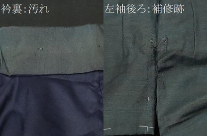 平和屋着物■男性　紬　藍鉄色　正絹　逸品　CAAZ5198ev