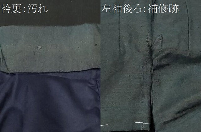 平和屋着物■男性　紬　藍鉄色　正絹　逸品　CAAZ5198ev