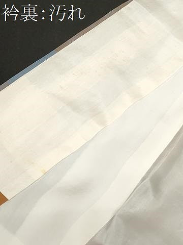 平和屋着物■上質な小紋　舞花文　正絹　逸品　CAAZ5215ev
