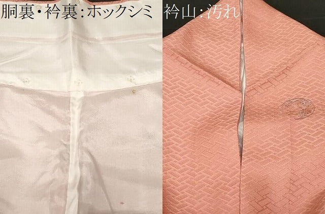 平和屋着物■上質な小紋　草花文　金彩　正絹　逸品　CAAZ5224ev