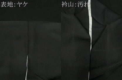 平和屋着物■訪問着　手描き　屏風風景文　十二単　黒地　正絹　逸品　CAAZ5803ev