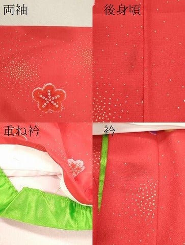 平和屋着物[]七五三　女の子　３歳　祝着　三つ身　長襦袢・被布セット　鴛鴦舞梅文　金彩　洗える着物　CAAZ7011ze