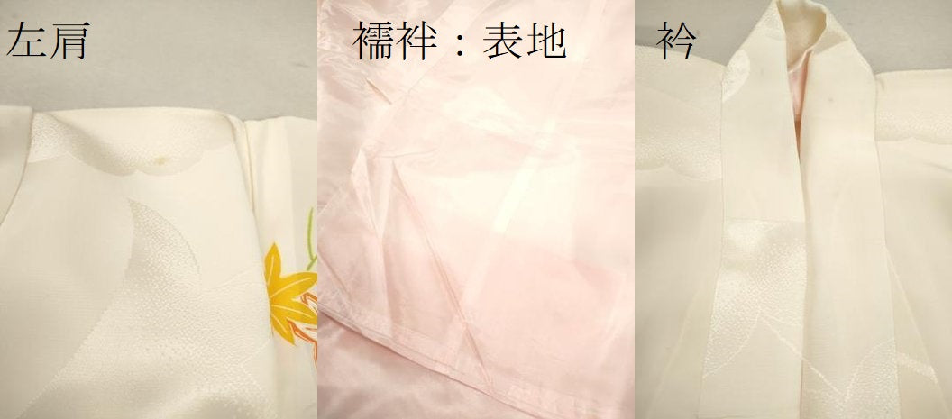 平和屋着物[]お宮参り　女の子　祝着　産着　初着　のしめ　花車舞蝶文　金彩　逸品　CAAZ7053ze
