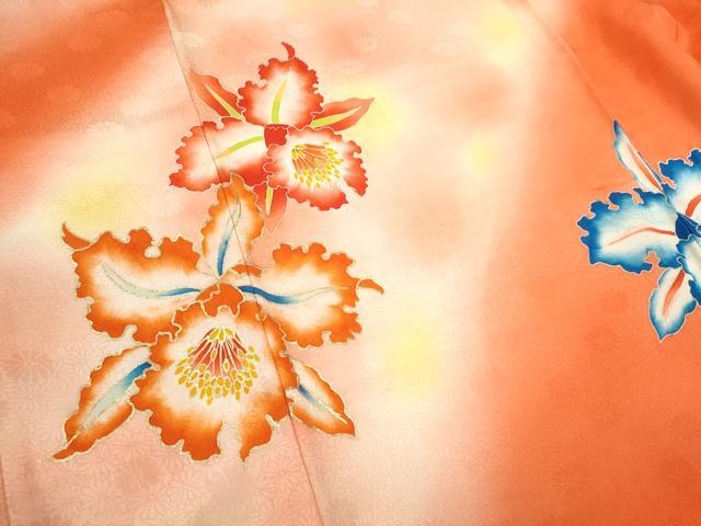 平和屋着物[]お宮参り　女の子　祝着　産着　初着　のしめ　駒刺繍　カトレア　暈し染め　金彩　逸品　CAAZ7062ze
