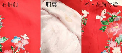 平和屋着物[]お宮参り　女の子　祝着　産着　初着　のしめ　花車　鈴舞蝶花文　金彩　逸品　CAAZ7110ze