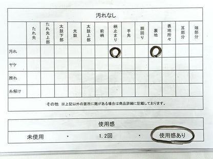 平和屋着物◎六通柄　本袋帯　立波箔散らし文　金糸　正絹　逸品　CAAZ7435nb