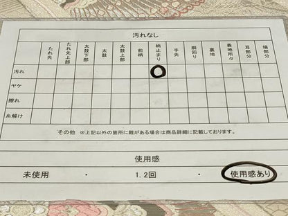 平和屋着物◎六通柄袋帯 唐織 菱花文 プラチナ箔二重織 正絹 逸品 CAAZ7642in