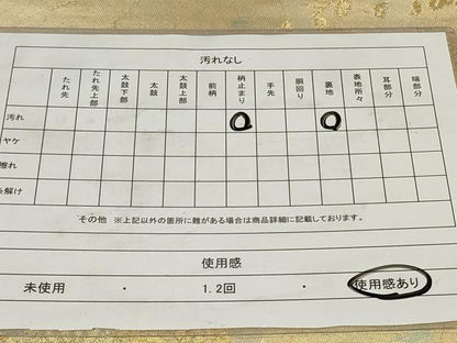 平和屋着物◎六通柄袋帯 立涌草花文 金糸 引箔 正絹 逸品 CAAZ7663in