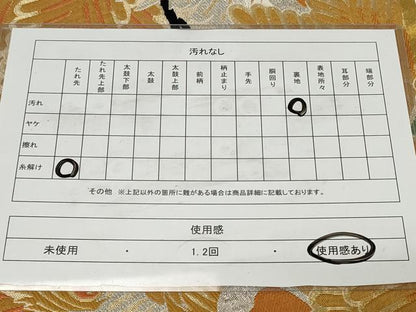 平和屋着物◎アンティーク 大正ロマン 全通柄袋帯 孔雀羽文 金銀糸 正絹 逸品 CAAZ7674in