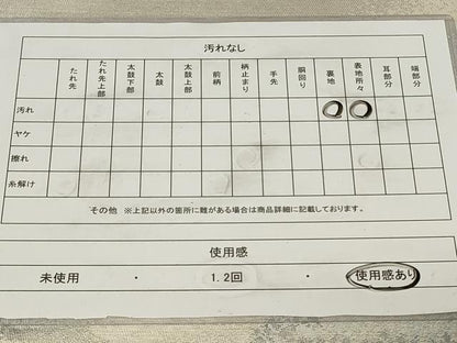 平和屋着物◎六通柄袋帯　阿寒湖　銀糸　正絹　逸品　CAAZ7778in