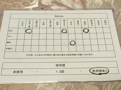 平和屋着物◎六通柄袋帯 唐織 孔雀文 銀糸 正絹 逸品 CAAZ7849in