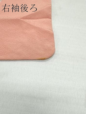 平和屋着物●訪問着 貝合わせ草花文 金彩 正絹 逸品 CAAZ8023vf