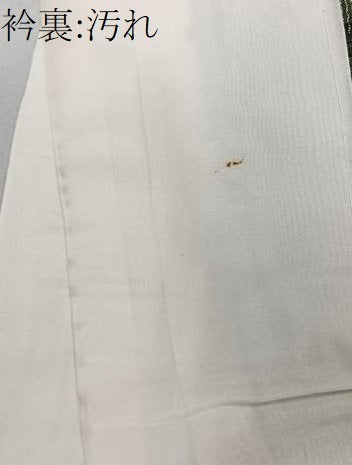 平和屋着物■上質な紬 風景花文 正絹 逸品 CAAZ9524xi