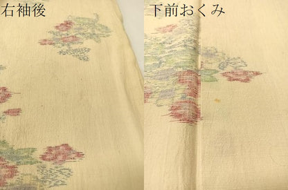 平和屋着物●上質な紬　草花文　正絹　逸品　未使用　CAAZ9994vp
