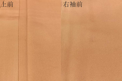 平和屋着物●訪問着　駒刺繍　松皮菱花唐草文　金彩　正絹　逸品　CAAZ9997vp