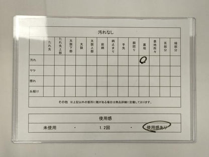 平和屋着物◎六通柄袋帯　唐織　鳳凰正倉院花文　銀糸　正絹　逸品　CABA0034oy