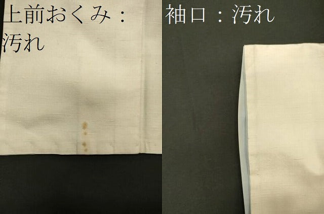 平和屋着物■上質な紬　風景文　正絹　逸品　CABA0344oy