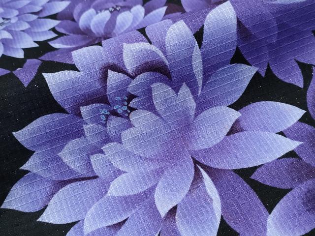 平和屋着物∴夏物 浴衣 綿紅梅 菊文 ラメ糸 黒地 綿 逸品 CABA0651ng